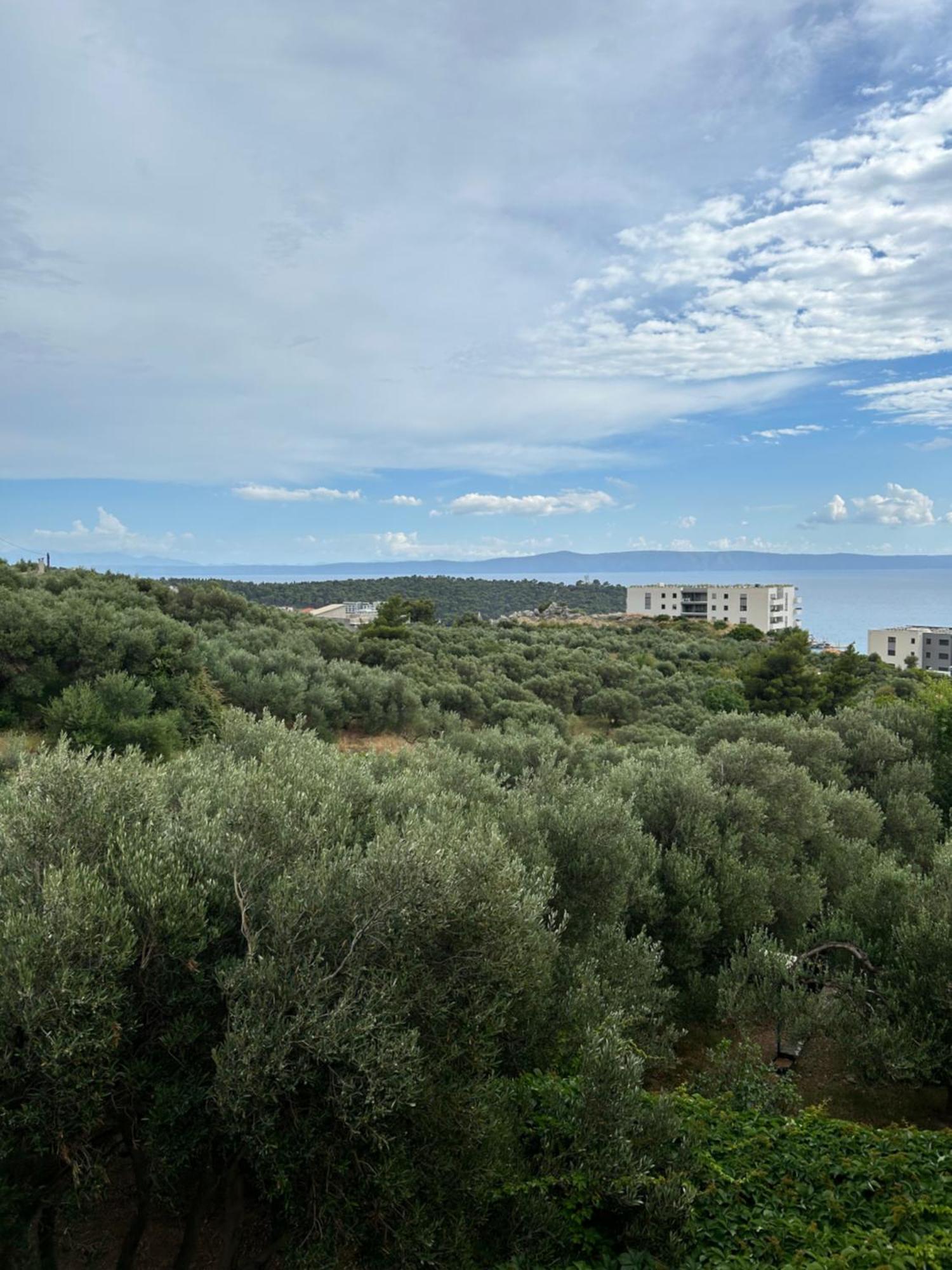 Apartment Mileta Makarska Ngoại thất bức ảnh